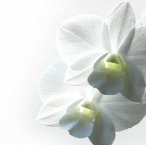 stilundetikette001001.jpg